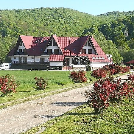 Pensiunea Rasnov Ngoại thất bức ảnh